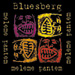 Logo - BLUESBERG - Meleme pantem